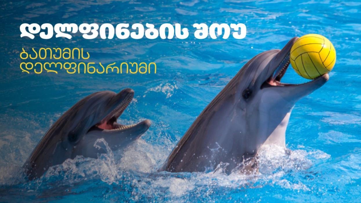 ბათუმის დელფინარიუმი