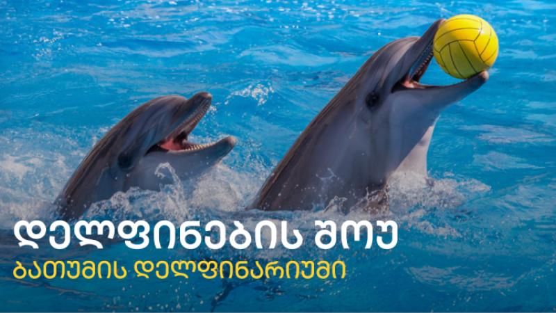 დელფინების შოუ